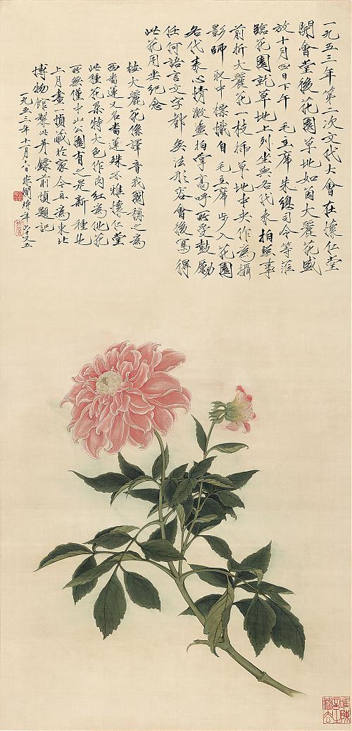 于非闇 大丽花